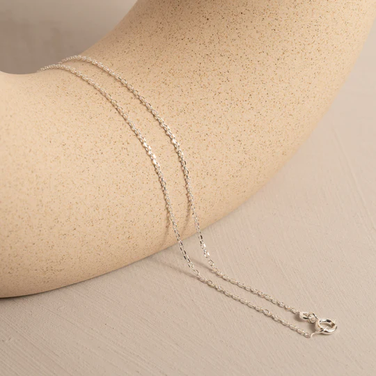 Heartfelt Duo Silver chain For Women